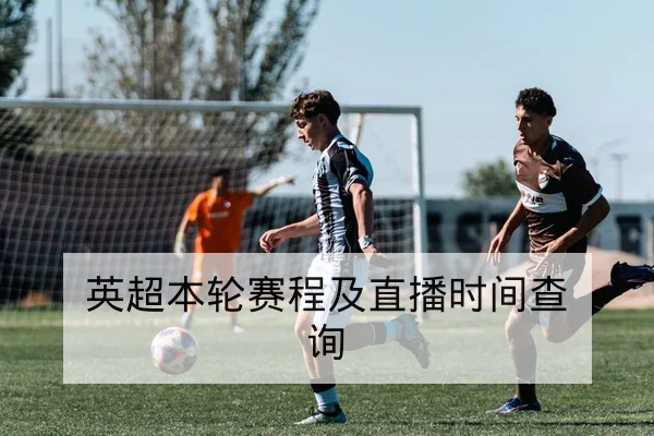 世界杯小组积分形势与晋级概率速算