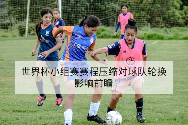 世界杯小组积分形势与晋级概率速算